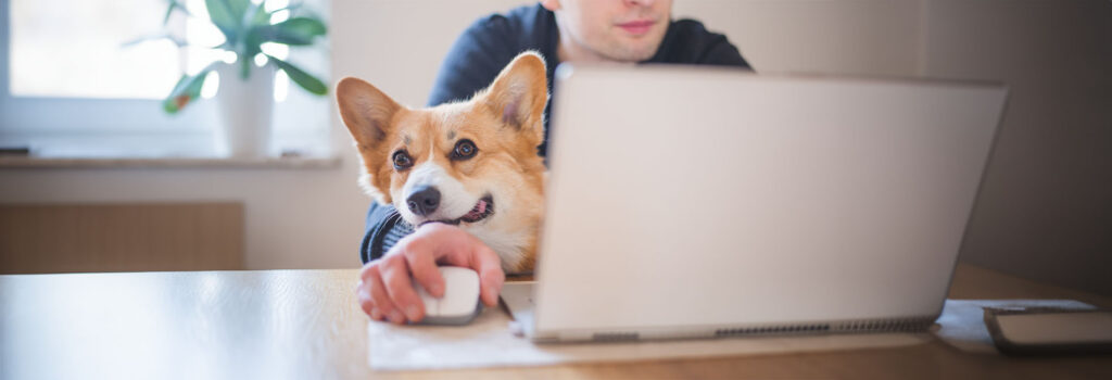 Hund mit Mann am PC