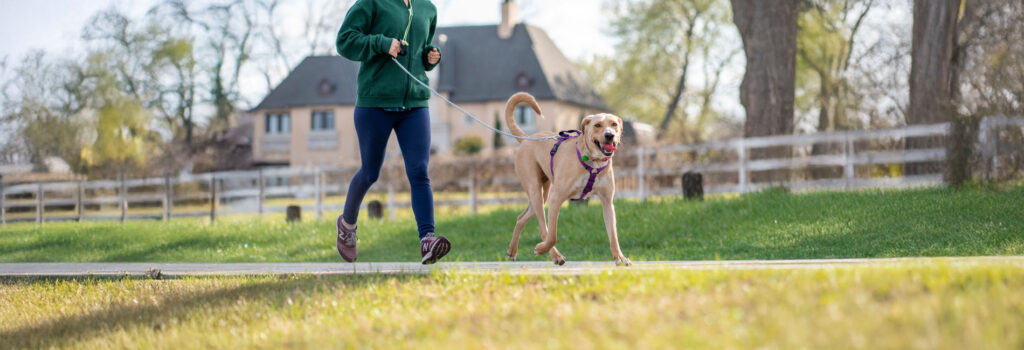 Frau joggt mit Hund in einer naturnahe Wohnsiedlung