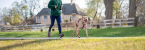 Frau joggt mit Hund in einer naturnahe Wohnsiedlung