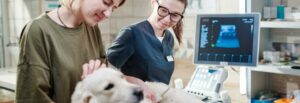 Hund mit Frauchen beim Arzt