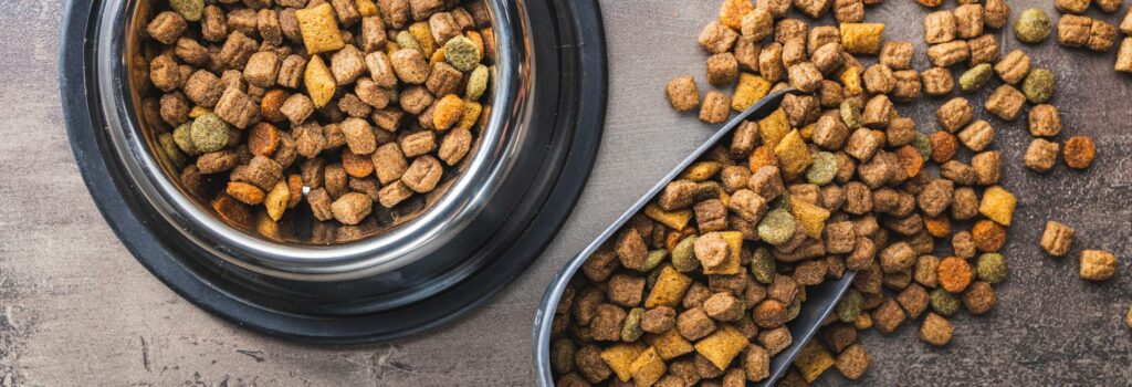Hundefutter im Napf