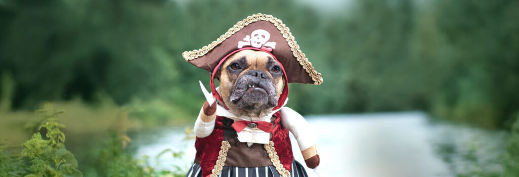 Hund im Piratenkostüm