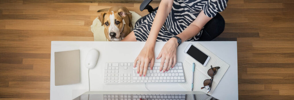Hund neben Frauchen im Büro